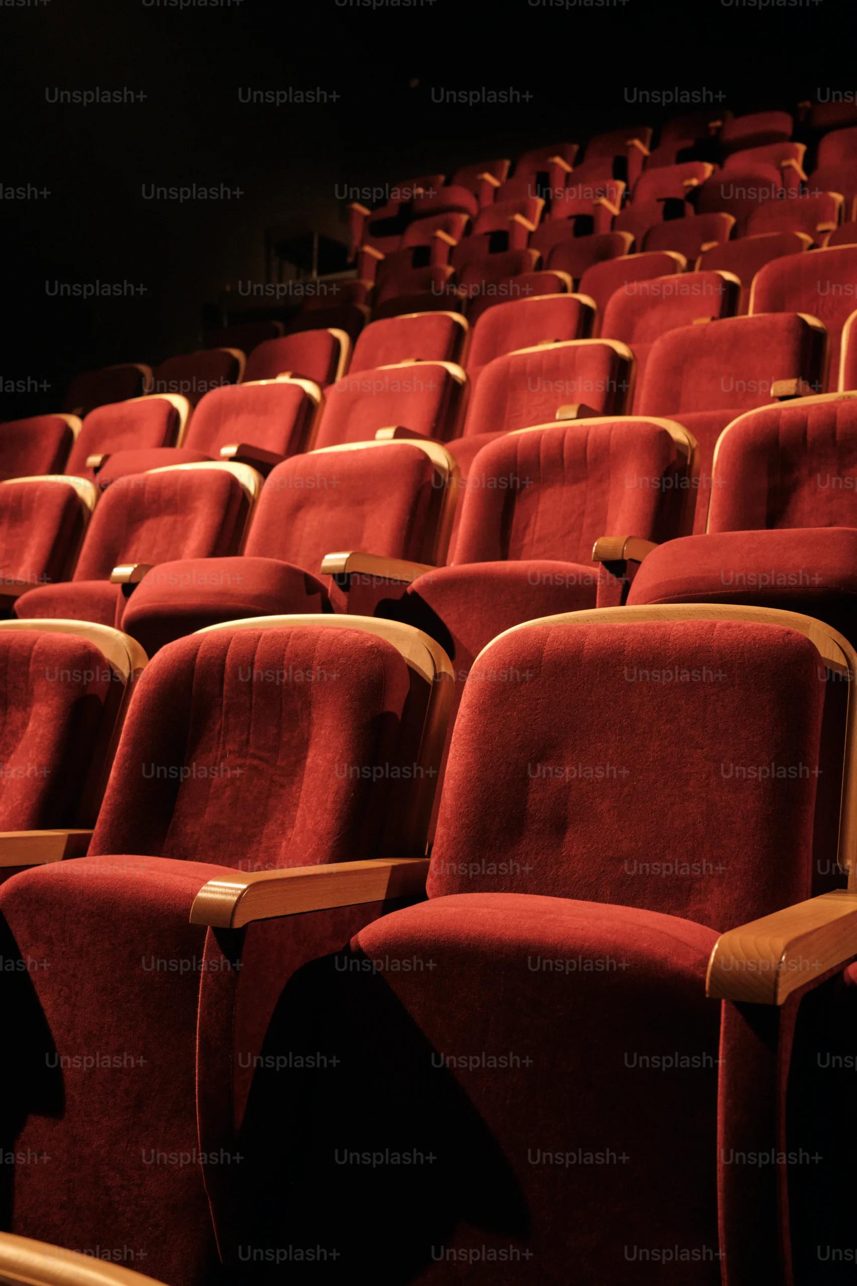 An empty theatre - rows of chairs can be seen